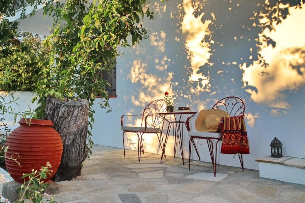 Villa Παναής & Μαρία / Panais & Maria Skopelos Exterior foto